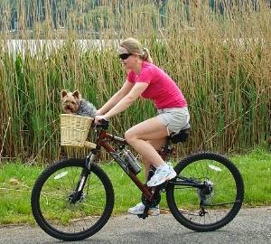 Propuesta de fin de semana en Madrid: cicloturismo