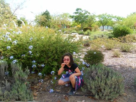 Parque Lo Torrent, San Vicente del Raspeig, Alicante, Naturaleza, Medioambiente
