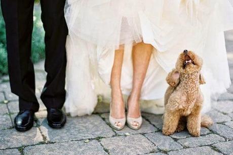Mascotas de boda