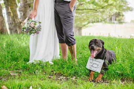 Mascotas de boda