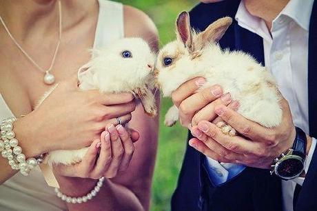 Mascotas de boda