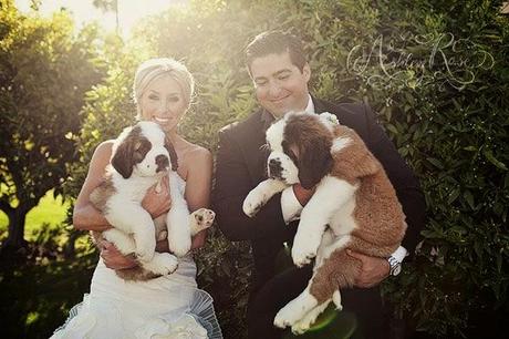 Mascotas de boda