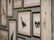 Casa decor 2014