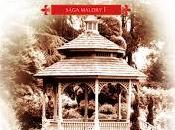 "Amar sola vez" Johanna Lindsey