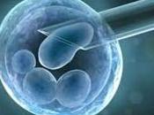 Identificado esclavitud política, induce votar siempre mismo partido