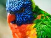 Paltas, reserva natural aves migratorias