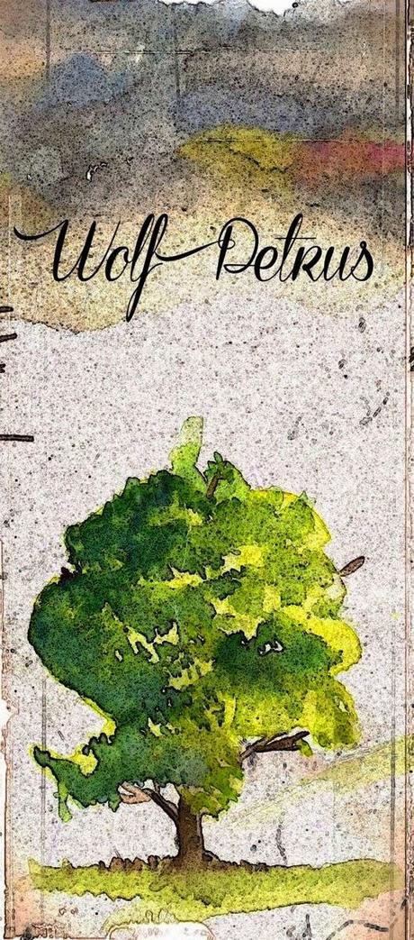 EXCLUSIVA: WOLF PETRUS ESTRENAN TRABAJO Y PÁGINA EN BANDCAMP