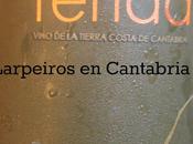 Vino Blanco Yenda Riesling 2013