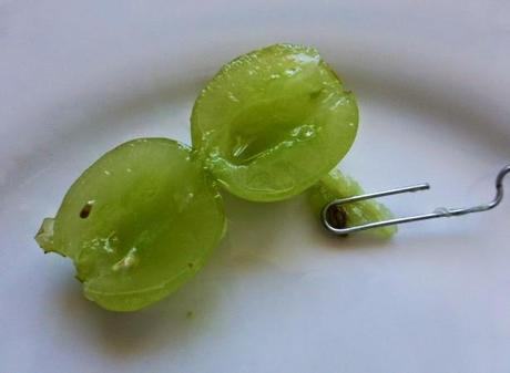 Cuscús de Rosas y Codornices