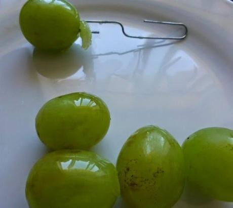 Cuscús de Rosas y Codornices