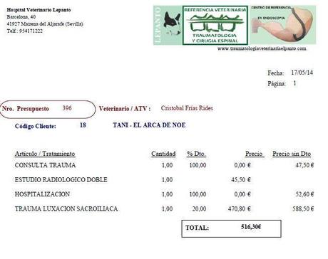 TAMI, GALGA ATROPELLADA, NECESITA AYUDA PARA SU OPERACIÓN. (SEVILLA)