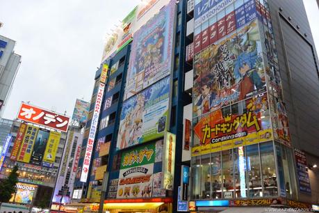 ¿Como es Akihabara por dentro?