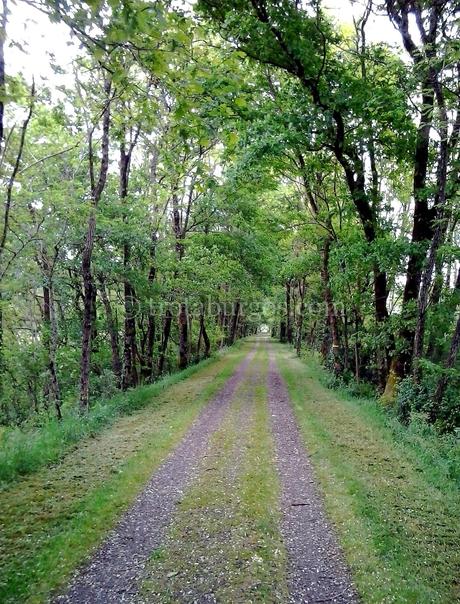 Día 1: Ustaritz-Bayona-Dax-Monfort en Chalosse. 96 kms.