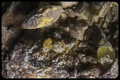 Museo de la Naturaleza Cantabria