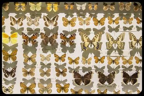 Museo de la Naturaleza de Cantabria