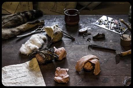 Museo de la Naturaleza de Cantabria