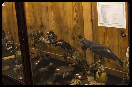 Museo de la Naturaleza de Cantabria
