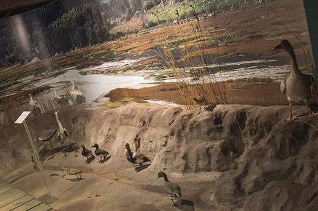 Museo de la Naturaleza de Cantabria