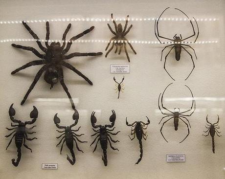 Museo de la Naturaleza Cantabria