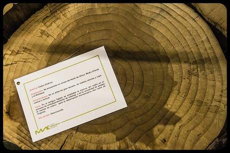 Museo de la Naturaleza de Cantabria