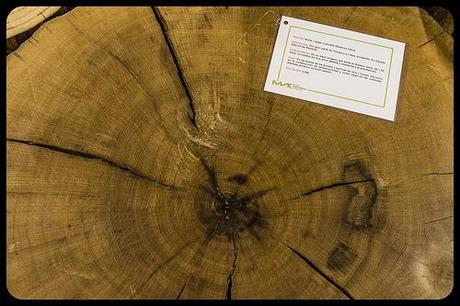 Museo de la Naturaleza de Cantabria