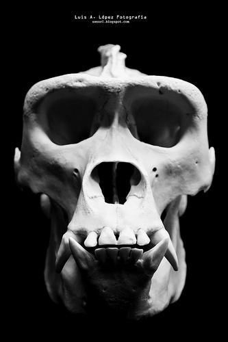 Museo de la Naturaleza de Cantabria