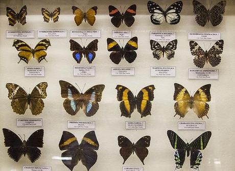 Museo de la Naturaleza Cantabria