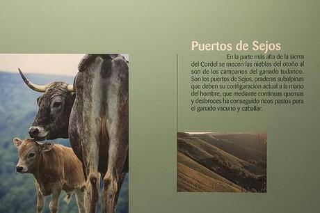 Museo de la Naturaleza de Cantabria
