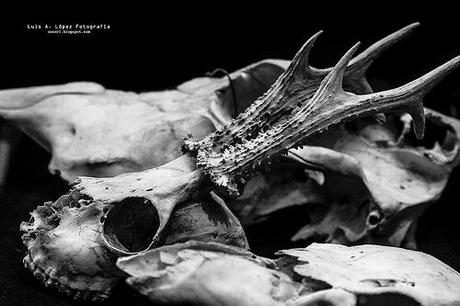 Museo de la Naturaleza de Cantabria