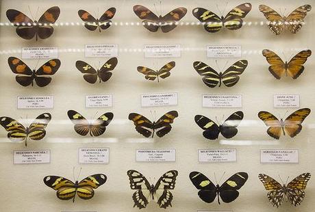 Museo de la Naturaleza Cantabria