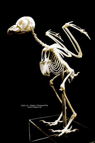 Museo de la Naturaleza de Cantabria