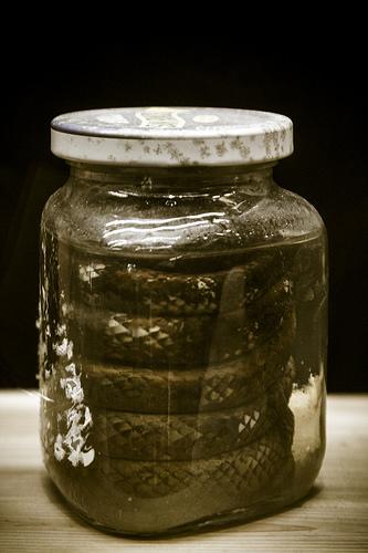 Museo de la Naturaleza de Cantabria