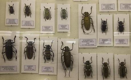 Museo de la Naturaleza Cantabria