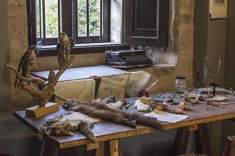 Museo de la Naturaleza de Cantabria