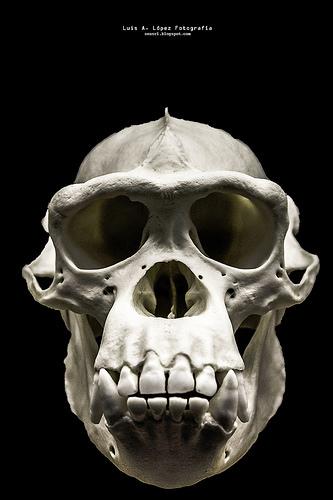 Museo de la Naturaleza de Cantabria