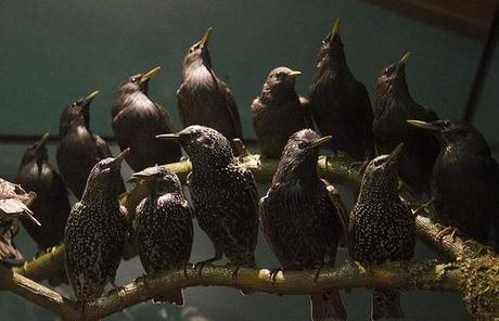 Museo de la Naturaleza Cantabria