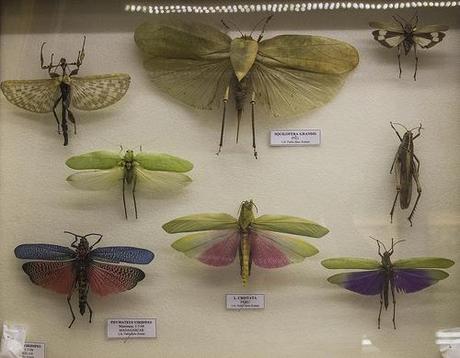 Museo de la Naturaleza Cantabria