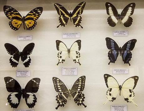 Museo de la Naturaleza Cantabria