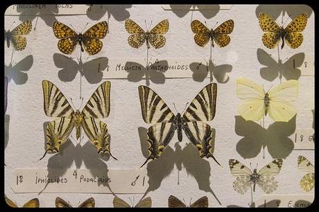 Museo de la Naturaleza de Cantabria