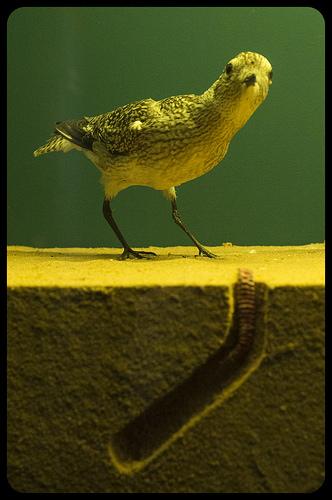 Museo de la Naturaleza Cantabria