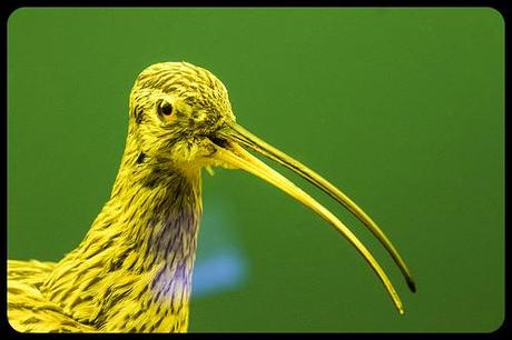 Museo de la Naturaleza Cantabria