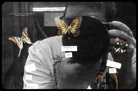 Museo de la Naturaleza de Cantabria