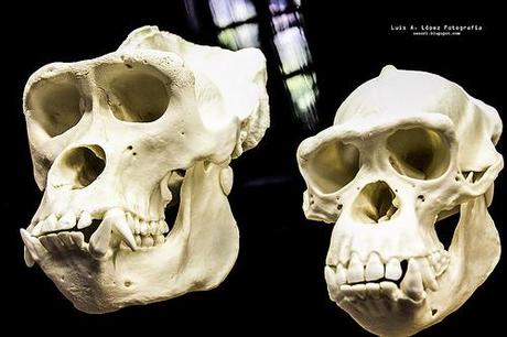 Museo de la Naturaleza de Cantabria