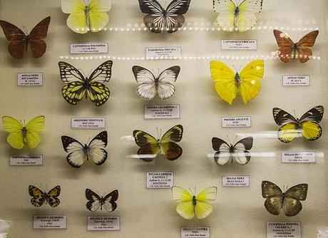 Museo de la Naturaleza Cantabria