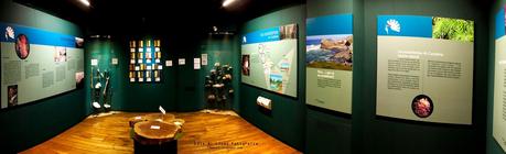 Museo de la Naturaleza de Cantabria