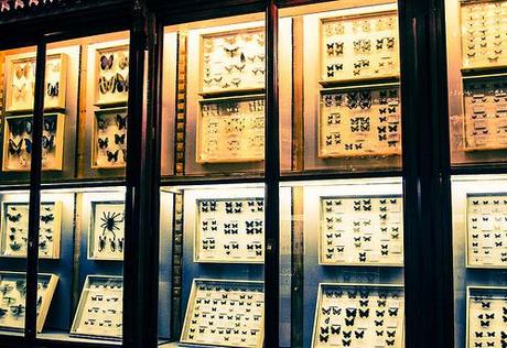 Museo de la Naturaleza Cantabria