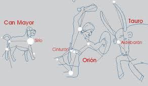 tauto,orion y can mayor dibujos