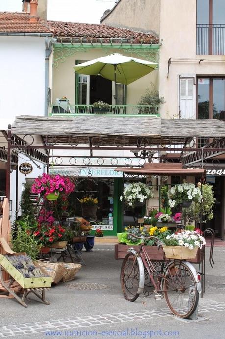 Vacaciones veganas en Francia