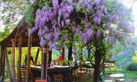 mis imprescindibles en Bologna 1ª Parte - My what-to-do-in-Bologna list 1st. part