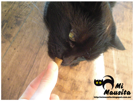 Link Party VI Link Party VI